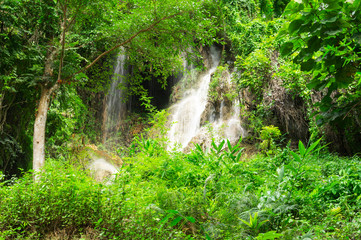 green forest waterfall
