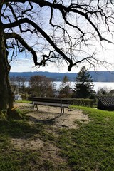 Landschaft in Zollikon im Kanton Zürich in der schweiz in der nähe von Epilepsie Krankenhaus im...