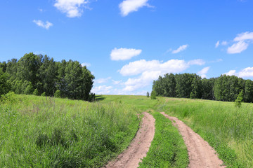 Summer landscape with open spaces of Siberia