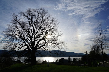 Landschaft in Zollikon im Kanton Zürich in der schweiz in der nähe von Epilepsie Krankenhaus im...
