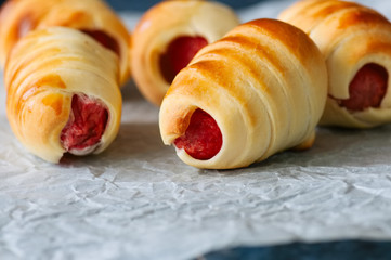 Pigs in a blanket on a baking paper. Close up. Fast food, beer snack or lunch box food concept.