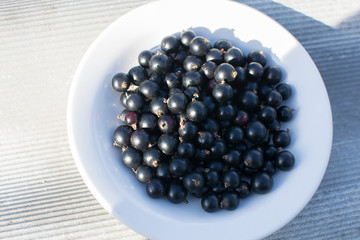 
black currant in glass ware on a gray table top
