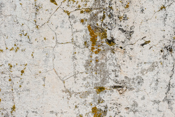 Wall fragment with scratches and cracks