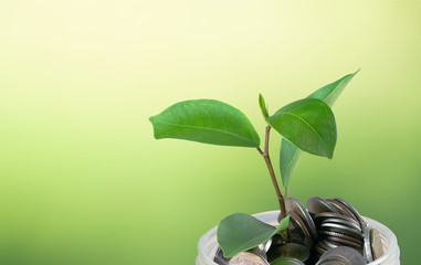 A plant sprouting on coins with a green blurred background and copy space