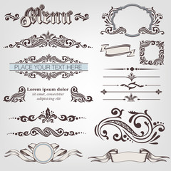 Vector ornate. Set of retro elements for menu and other documents