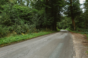 Obraz premium Empty asphalt country road passing through green forests and villages. Summer countryside landscape in the region of Normandy, France. Recreation, nature, holidays, travel and road network concept.
