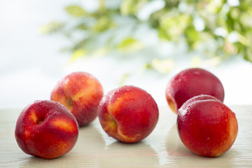 Nectarines in the rain 