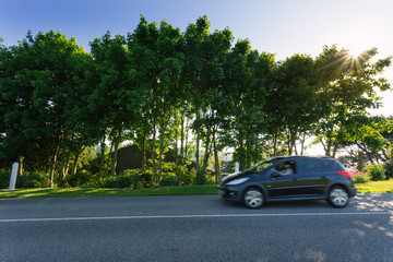 Empty asphalt country road passing through green forests and villages. Summer countryside landscape in the region of Normandy, France. Recreation, nature, holidays, travel and road network concept.