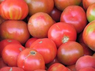 red tomatoes freshly cut and ready for sale