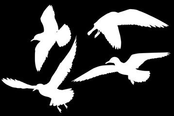 set of four seagull white silhouettess
