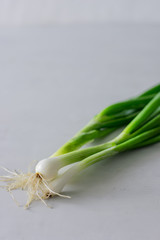 Green young onion on a light table