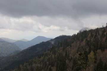 Bolu, Yedigöller National Park, Turkey