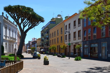 2014-04 Teneriffa