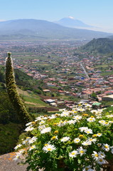 2014-04 Teneriffa