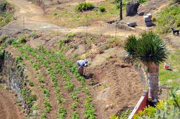 2014-04 Teneriffa
