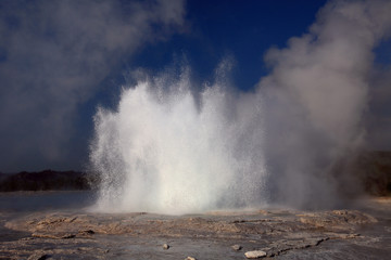 Old Faithful Area and Geysers, Yellowstone NP 