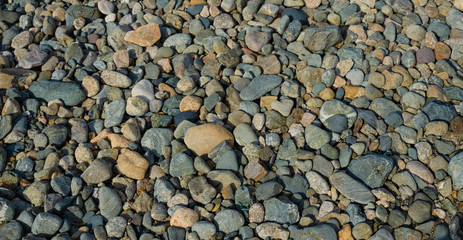Colourful pebbles seen close up
