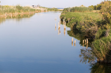 Paisaje de río cerca de la playa