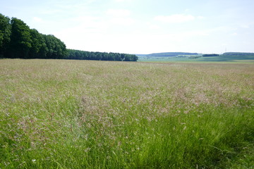 2018-05 Spessartweg 1