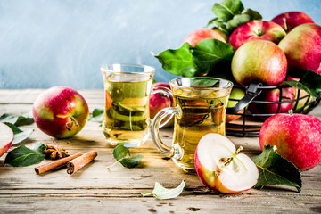 Homemade apple cider with cinnamon and anise spices, with fresh apples on wooden rustic background copy space