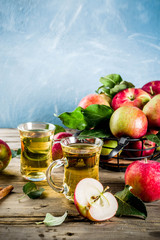 Homemade apple cider with cinnamon and anise spices, with fresh apples on wooden rustic background copy space