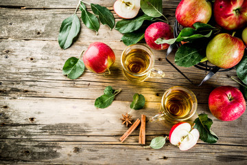 Homemade apple cider with cinnamon and anise spices, with fresh apples on wooden rustic background copy space