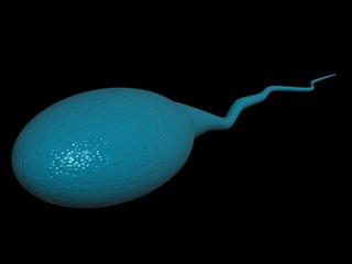 3d illustration showing sperms and egg