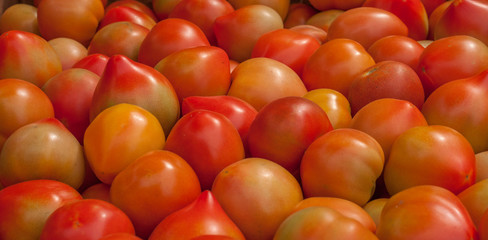 A big group of red and yellow tomatoes, closeup