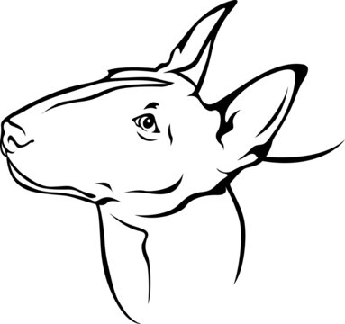 recommend clip art: Bull Terrier - Portrait