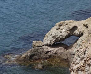 Dinosaurio petrificado