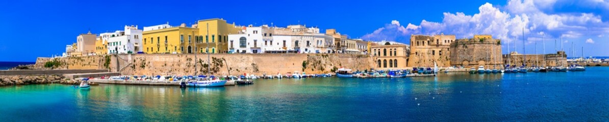 Fototapeta na wymiar Panorama of beautiful coastal town Gallipoli in Puglia, Italy