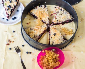 Food arrangement with blueberry and currant cake.