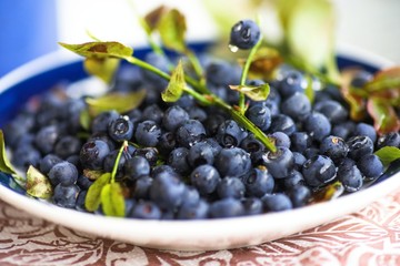 Blueberries with leaf on plate.