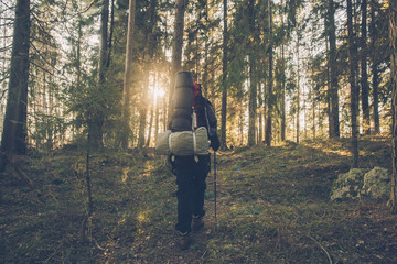 Backpacker hiking in remote forest in backlight