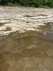 Shale bank of the Maumee river
