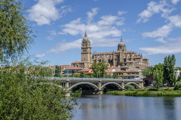 Fototapeta premium vista de las catedrales y el puente de Hierro de Salamanca