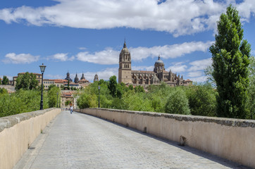 Fototapeta na wymiar vista de las catedrales de Salamanca desde el Puente romano 