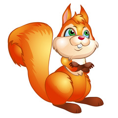 Cute squirrel isolated on white background. Vector cartoon close-up illustration.