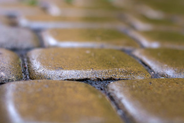 perfectly evenly laid stones of paving slabs wet from the rain. Background