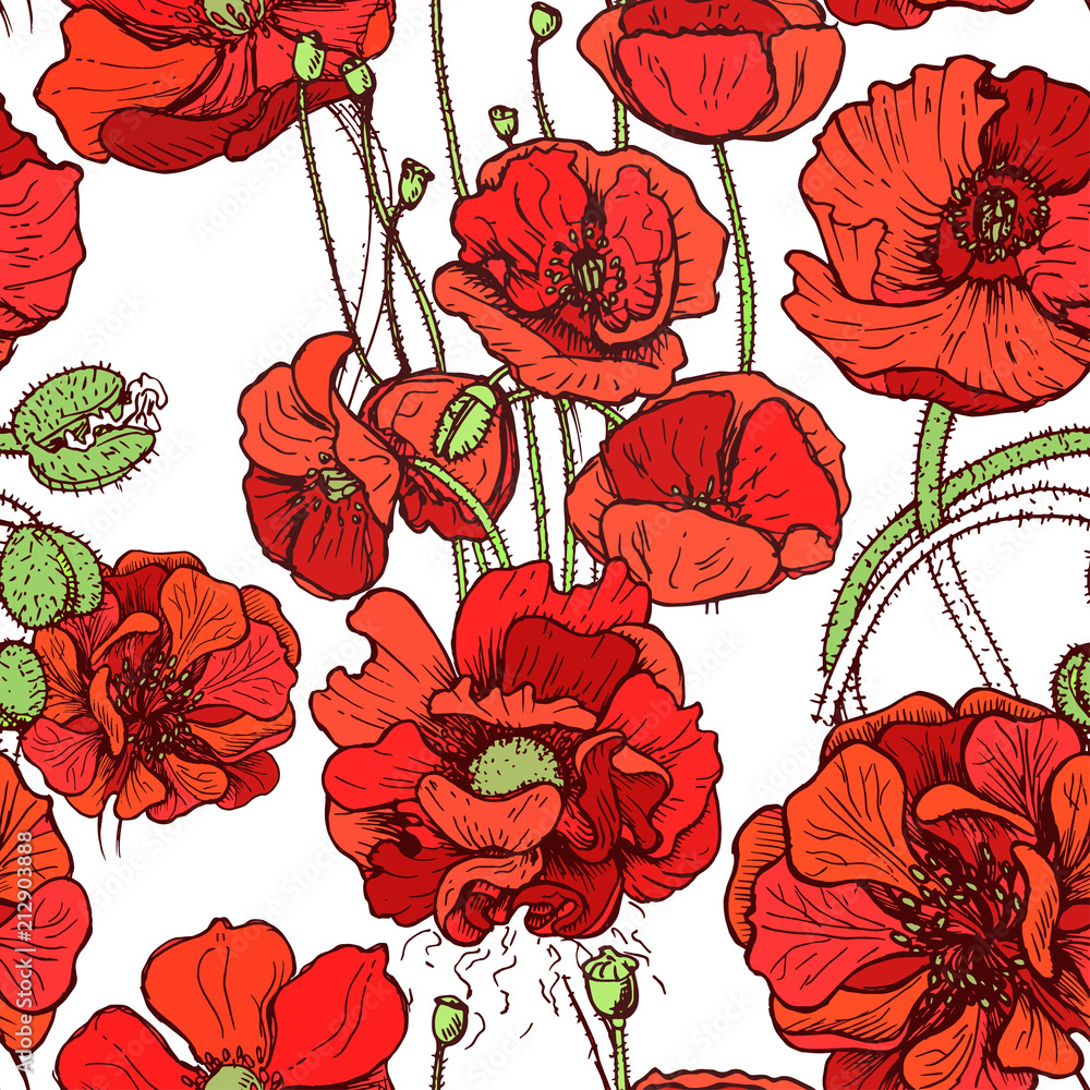 Wall mural Vector illustration sketch - card with flowers poppy. Pattern with flowers.