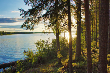 Sunlight in forest at  lake. Karelia