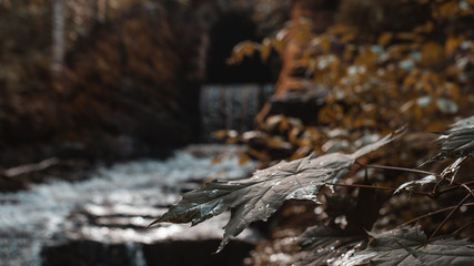 Waterfall, Korkeakoski