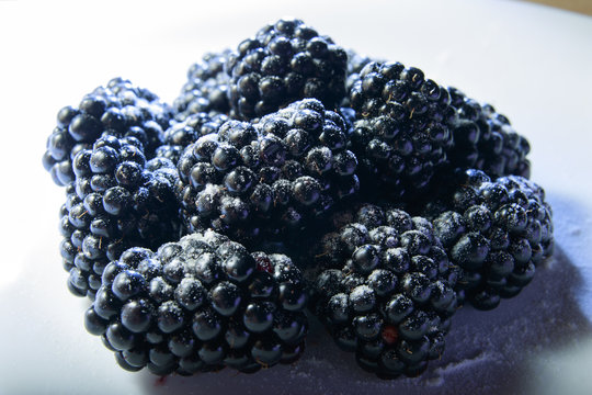 Blackberries dessert sprinkled with sugar close-up
