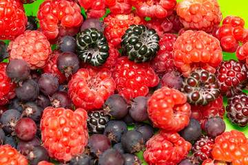 berries raspberries, blackberries on a green background