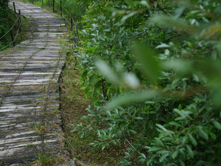 Obraz premium 枕木の道