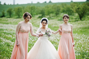 Beautiful bride posing with bridesmaids on the field full of flowers on the wedding day.