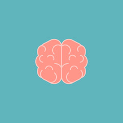 Symmetric Brain icon flat design