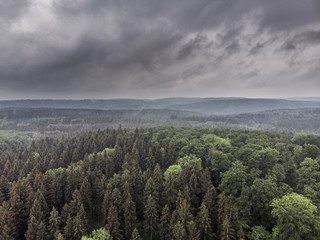Regenwolken über einer Waldlandschaft