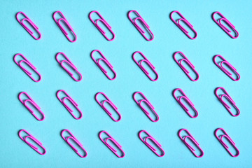 Pink paper clips isolated on blue background, close up, copy space. Top view, flat lay. Back to school, college, education concept