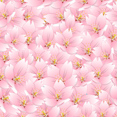 Sakura Cherry Blossom Seamless Background
